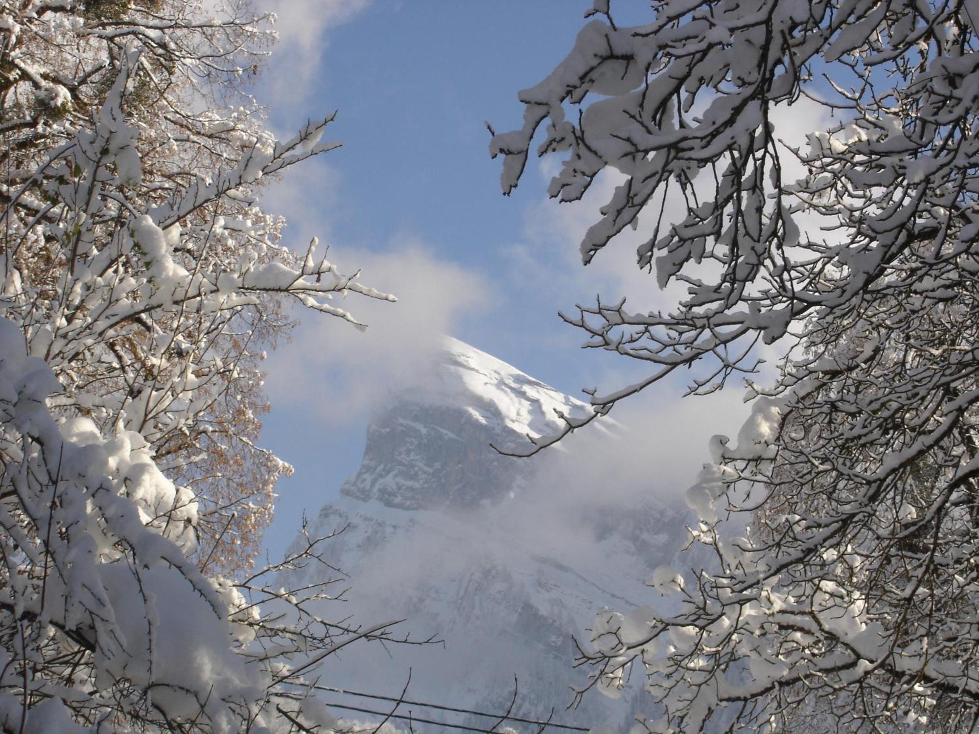 Hotel Edelweiss Samoëns Exteriér fotografie
