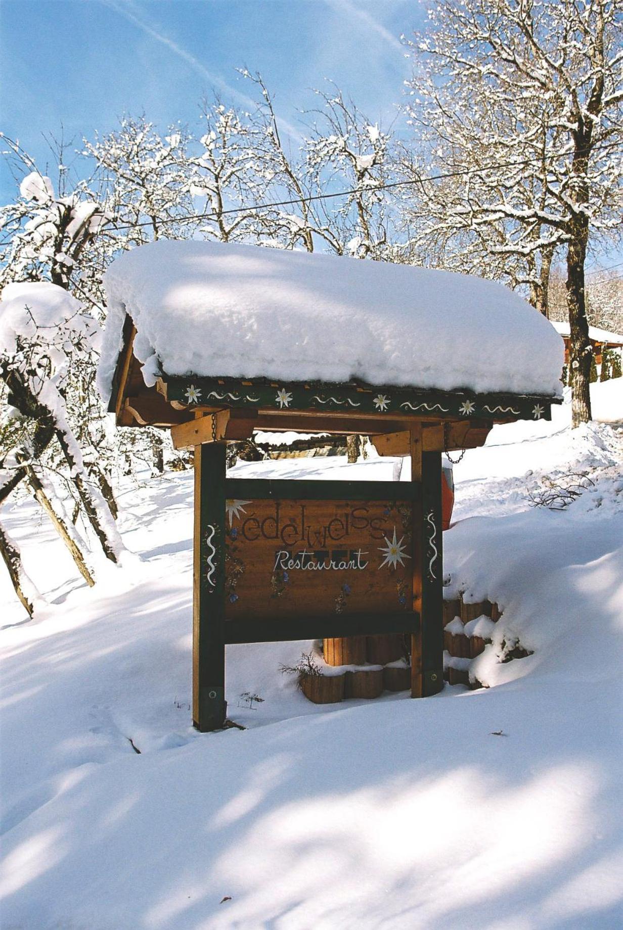 Hotel Edelweiss Samoëns Exteriér fotografie